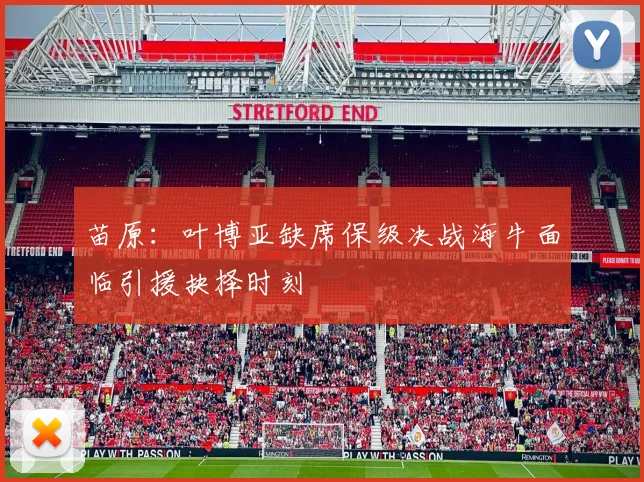 苗原：叶博亚缺席保级决战海牛面临引援抉择时刻